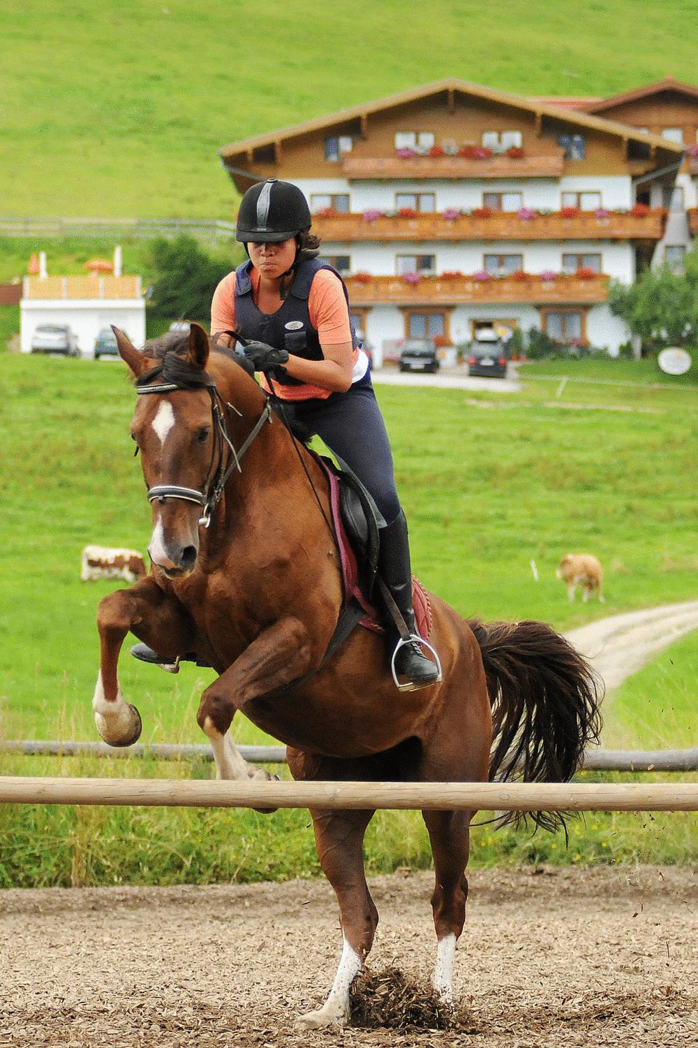Alpin Apart Flachau Luaran gambar