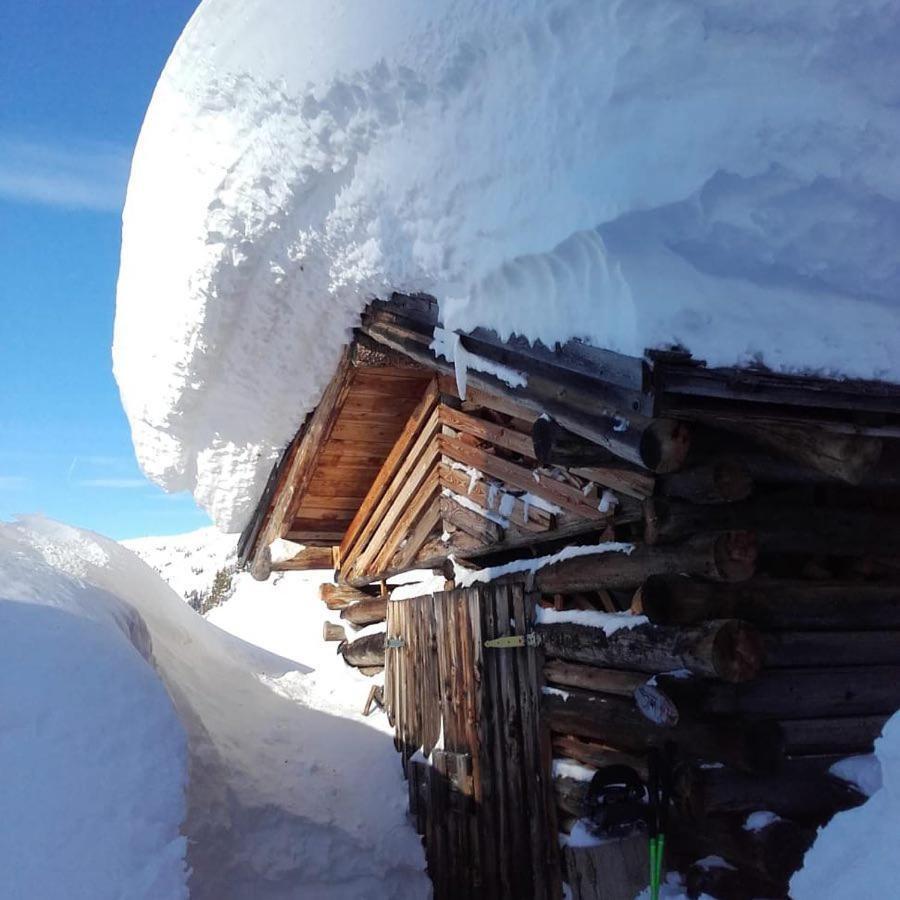 Alpin Apart Flachau Luaran gambar