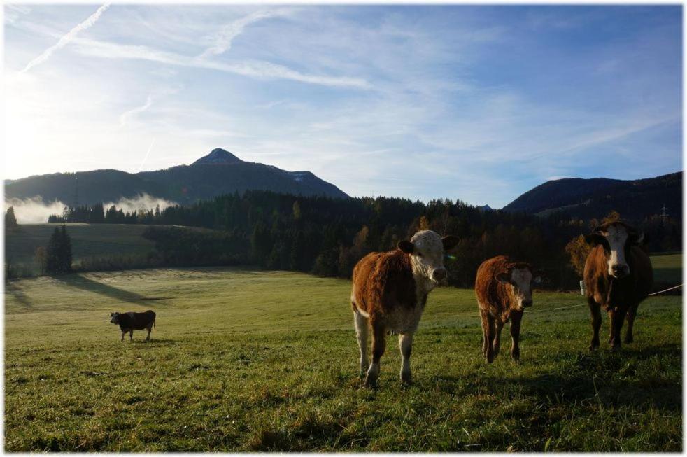 Alpin Apart Flachau Luaran gambar