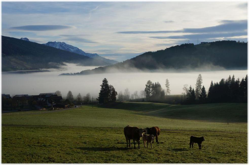 Alpin Apart Flachau Luaran gambar